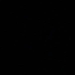 Meet your Posher, Addison